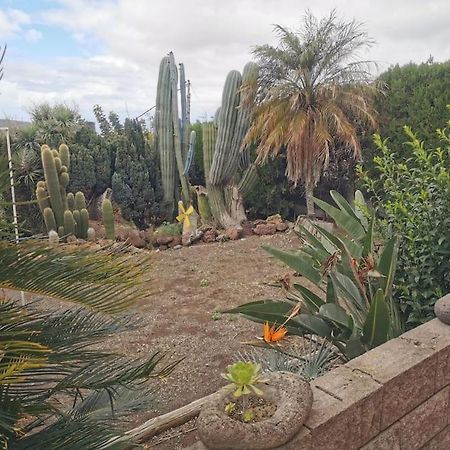 Los Cactus Santa Cruz de Tenerife Eksteriør bilde
