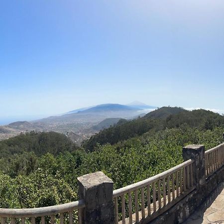Los Cactus Santa Cruz de Tenerife Eksteriør bilde