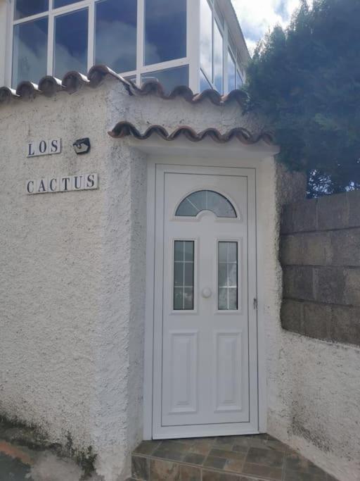 Los Cactus Santa Cruz de Tenerife Eksteriør bilde