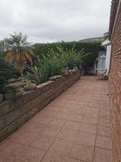 Los Cactus Santa Cruz de Tenerife Eksteriør bilde
