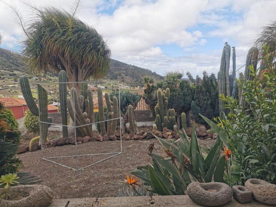 Los Cactus Santa Cruz de Tenerife Eksteriør bilde